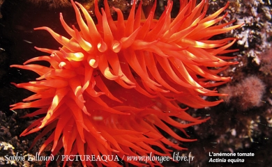 La mer Méditerranée