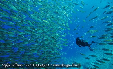 Île de Kanawa en Indonésie (Parc national des Komodos)