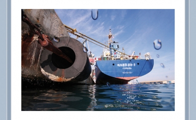 Les ports, oasis de vie insoupçonnée