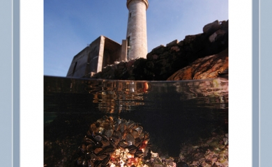 Les ports, oasis de vie insoupçonnée