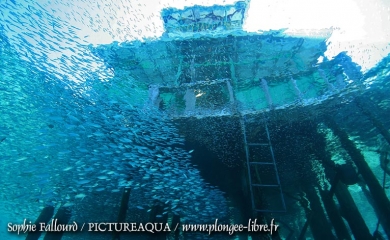 Île de Kanawa en Indonésie (Parc national des Komodos)