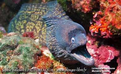 La mer Méditerranée