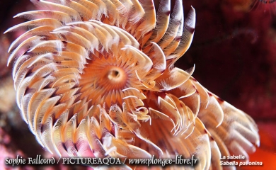 La mer Méditerranée