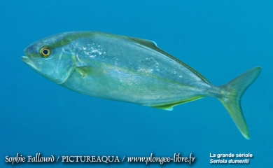 La mer Méditerranée